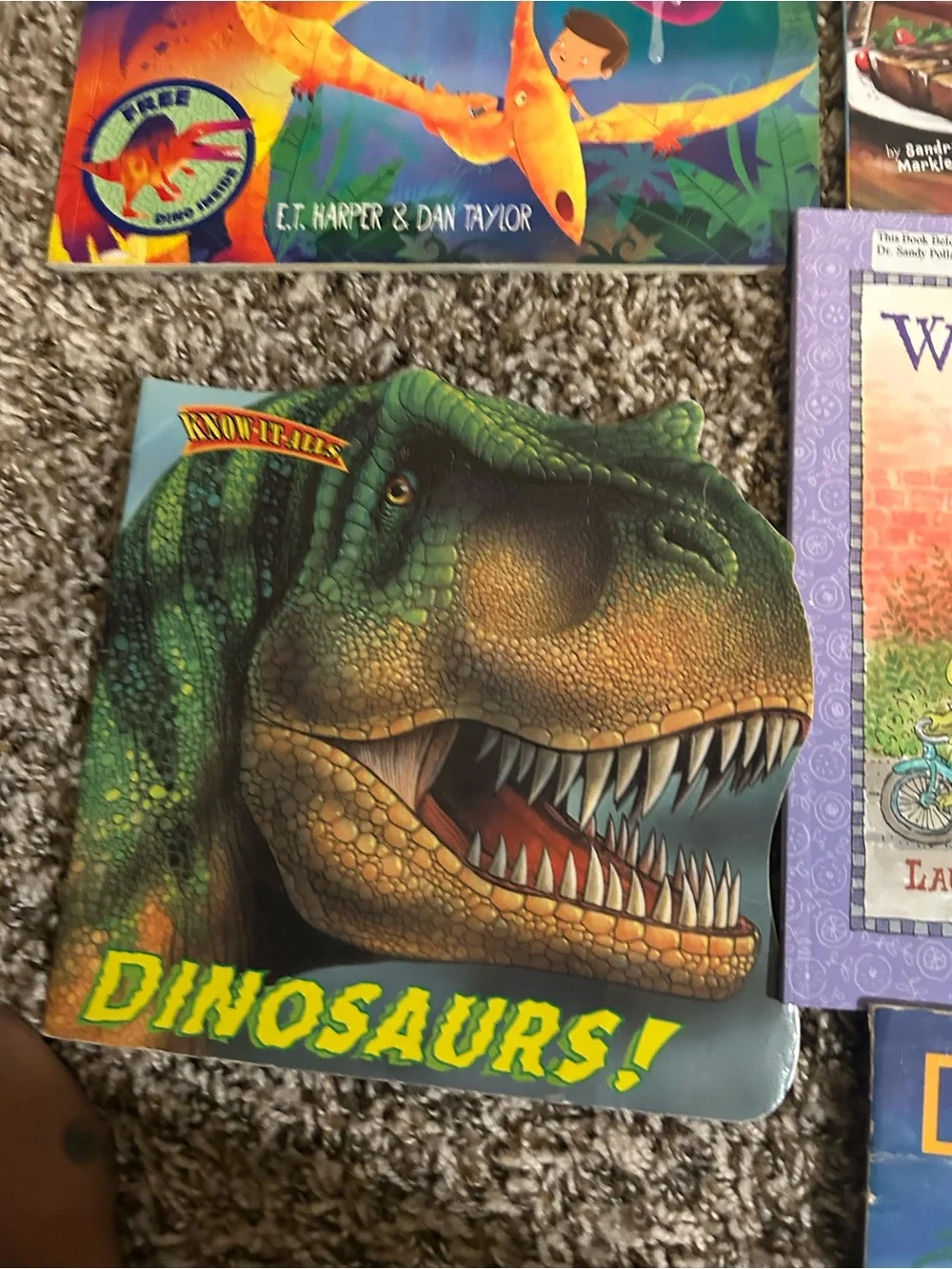 Assorted Kids Dinosaur Books - lot of 10 books